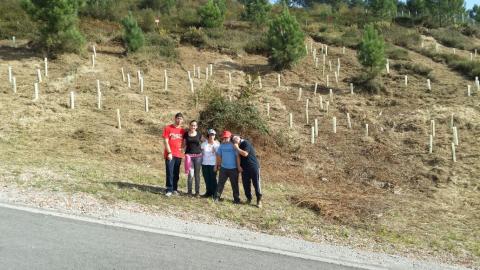 Volunt.Empresa Volunt.Empresa