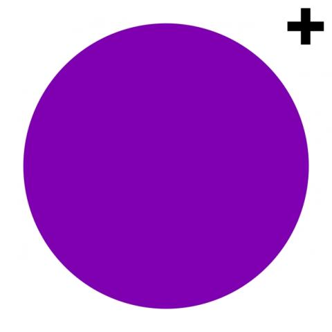 col_0006-p col_0006-p