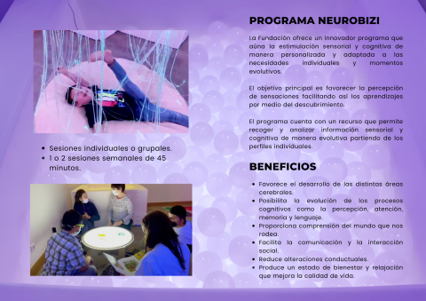 Programa Neurobizi Programa Neurobizi