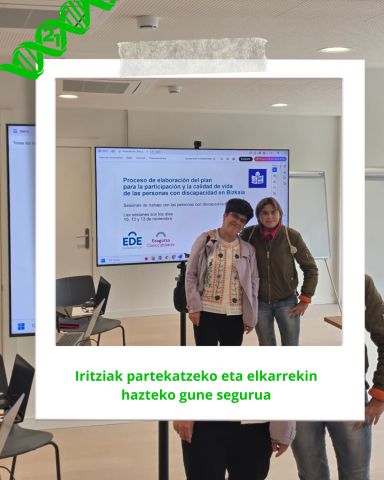 Plan para la Participación y la Calidad de Vida de las Personas con Discapacidad en Bizkaia
