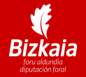 Diputación Foral de Bizkaia