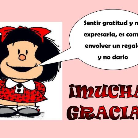 Voluntariado Mafalda