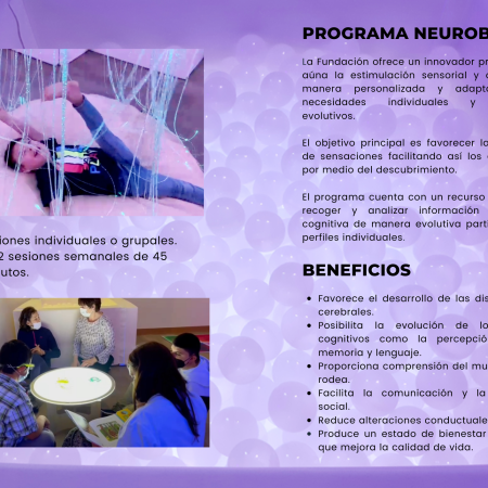 Programa Neurobizi