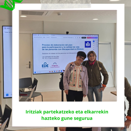 Desgaitasuna duten Pertsonen Parte-hartze eta Bizi Kalitatearen Plana